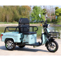 Elderly leisure electric tricycle 650W passenger Tricycle