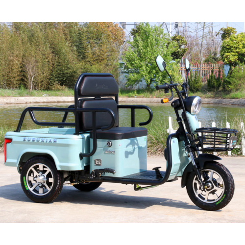 Tricycle électrique de loisirs pour personnes âgées Tricycle passager 650W