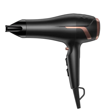2200W Pro Hair Dryer with Diffuser and DC Motor