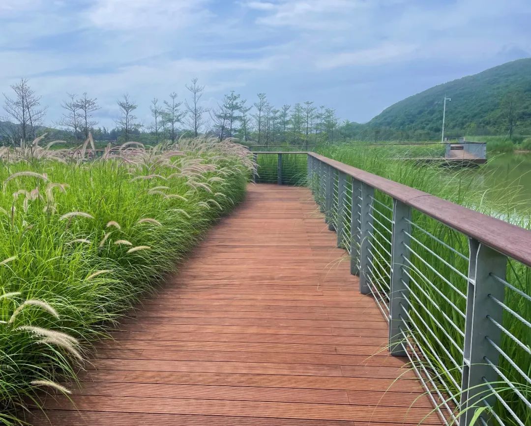 bamboo flooring