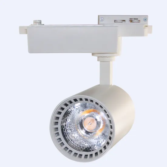 Shenzhen Aglare 15W/20W/30W COB LED Track Light