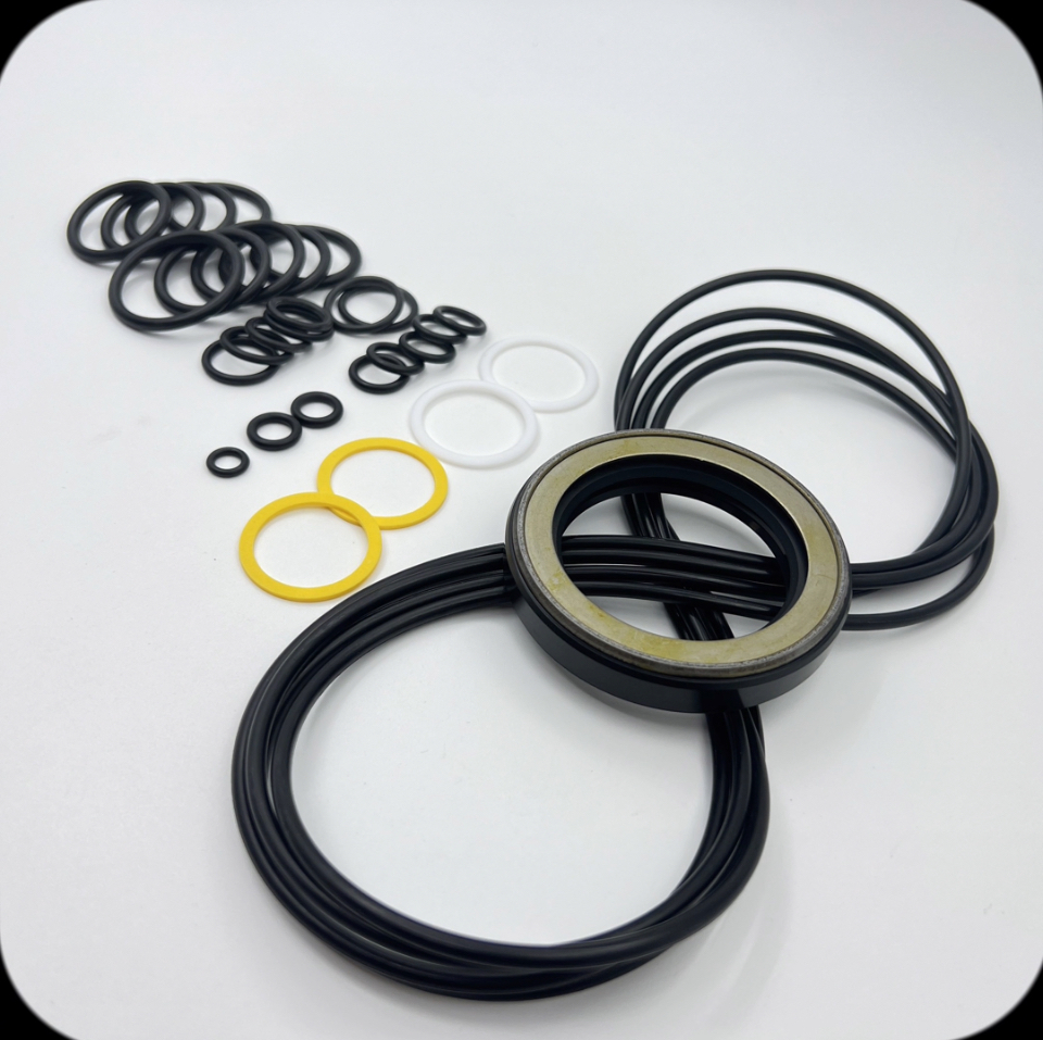 55 Swing Motor Seal Kit