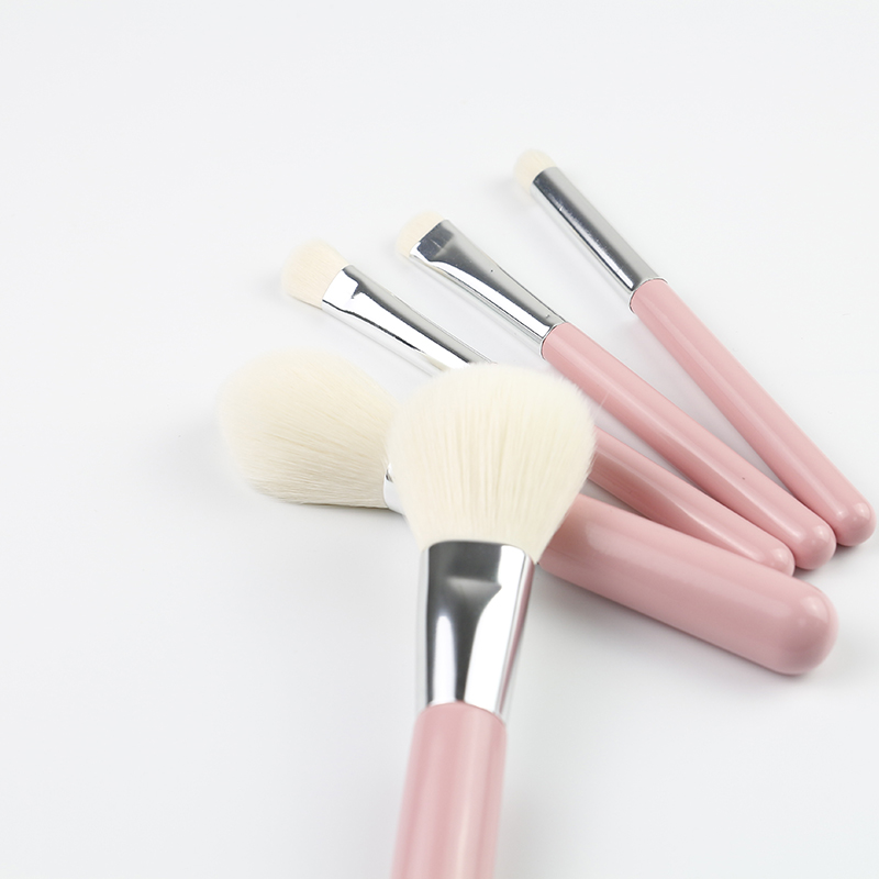 5 Pcs Makeup Brush