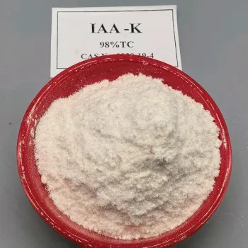 Plant hormone IAA Indole-3-Acetic Acid