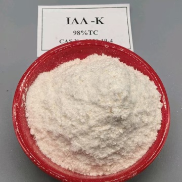 ฮอร์โมนพืช IAA Indole-3-Acetic Acid