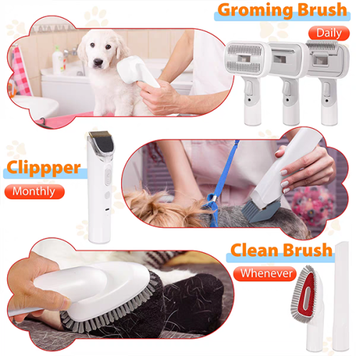 Top Warranty High Quality cat grooming