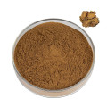 Premium Ligusticum Chuanxiong Extract