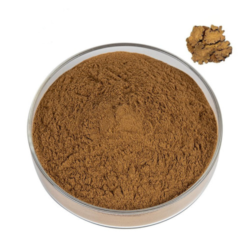 Premium Ligusticum Chuanxiong Extract