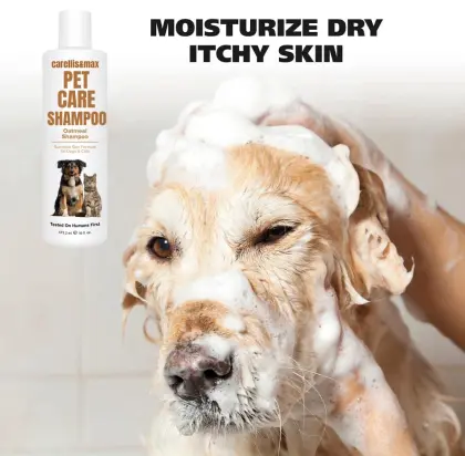 OEM Anti-Dandruff Anti-Flea Dogs Shampoo for pet