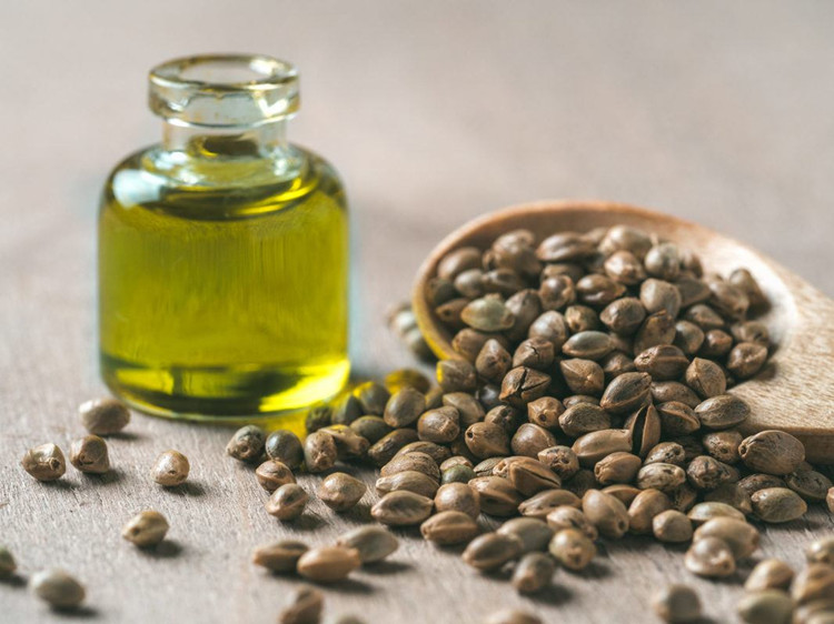 hemp seed carrier oil for skin care