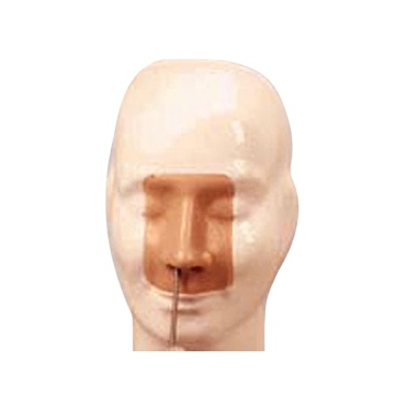 Darhmmy Advanced Nasal Hemorragle Simulator pour la formation médicale