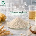 lucoamylase لتحويل النشا إلى الجلوكوز بكفاءة