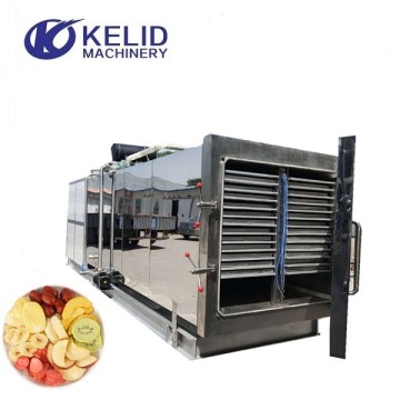 Industrial Vacuum Lyophilizer Vegetable Vacuum Freeze Dryer