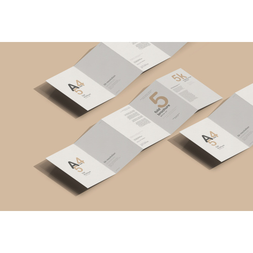 Five fold paper folded Leaflet