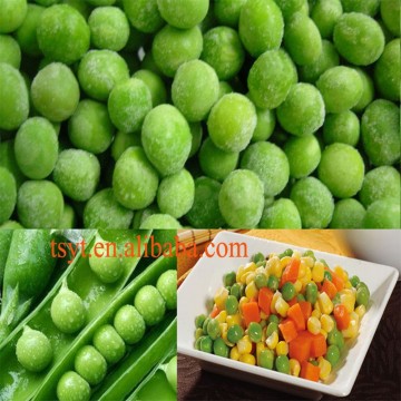 frozen green pea, iqf green pea, frozen pea ,iqf pea