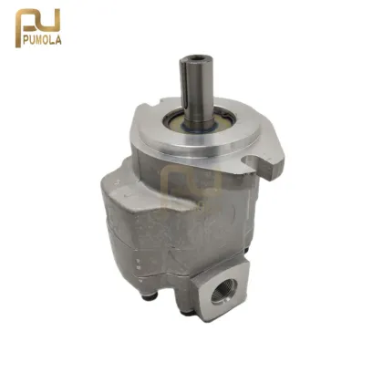 Shop Parker G5 Series Hydraulic Gear Pumps including G5-5, G5-6, G5-8, G5-10, G5-12, G5-20, G5-25 Models with Part Number 1FE13S-20