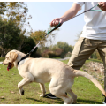 Två handtag hund koppel