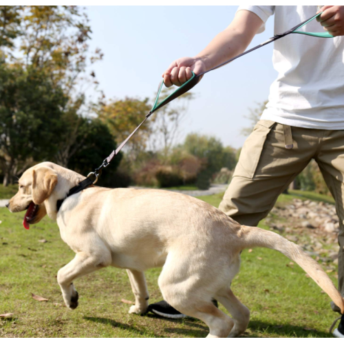 Deux poignées laisse de chien