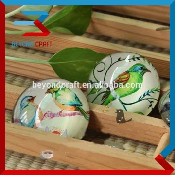 Domed crystal fridge magnet for color printing