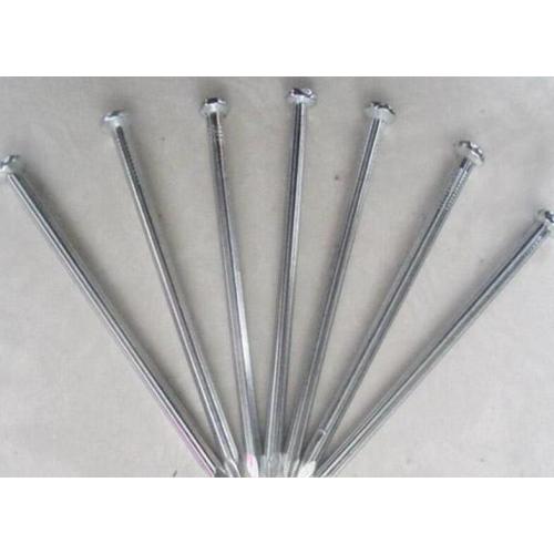 Factory galvanized and polished concrete nails for building