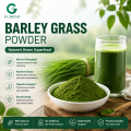 Polvo de hierba de cebada para fórmulas de superalimentos de nutrición verde