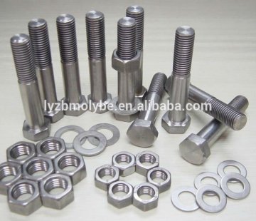 Pure High Quality Molybdenum Screw for Heat Resistance