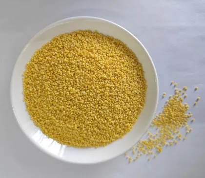 Wholesale Premium Chinese Millet: A Nutritious Treasure for the World