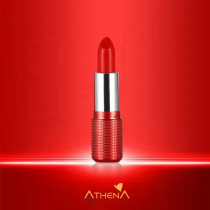 Makeup Vendor Waterproof Custom Makeup Lipstick