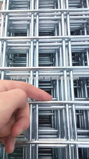 2x2 Galvanized Welded Wire Mesh for Fence Panel