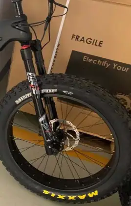 Rohloff 14-Speed Electric Hybrid Bike with Bafang Motor and Dual Batteries