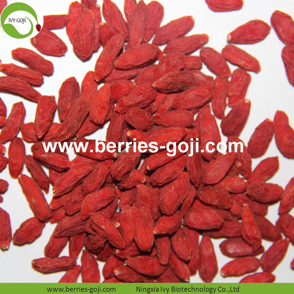 Goji berry