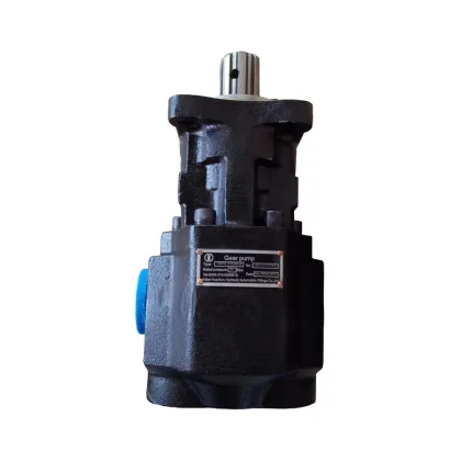 Hydraulic Hyva Gear Pump for Dump Truck