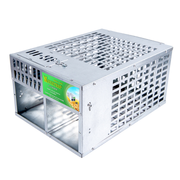 Mice Mousetrap Bait Snap Spring Rodent Catcher