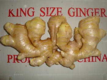 Good Quality Air-dried Ginger In Competitive Price