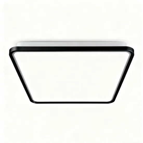 Modern LED Ceiling Lamp for Daily Lighting