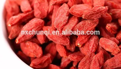 NingXia fresh goji berry seed