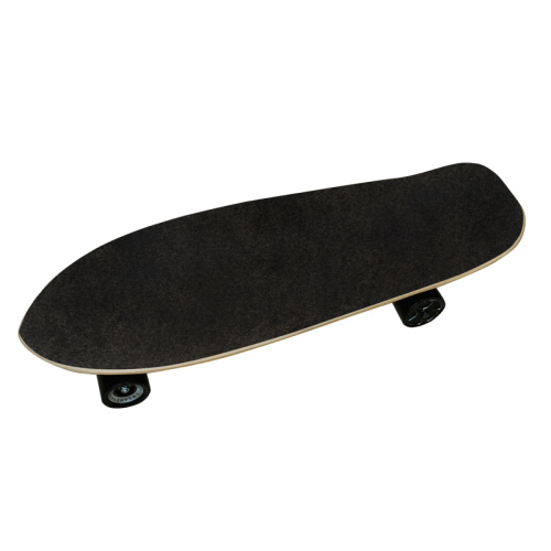 High Speed Hub Motor Standing Fast Skateboard