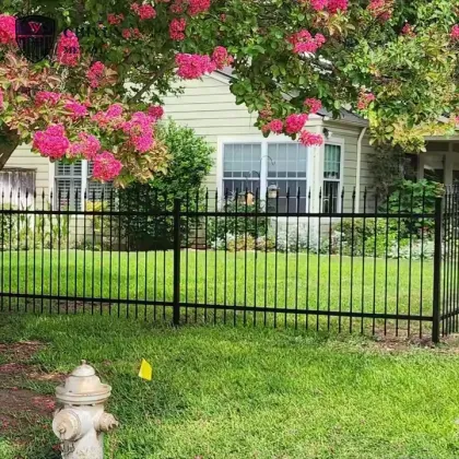 Outdoor Courtyard Fence with Decorative