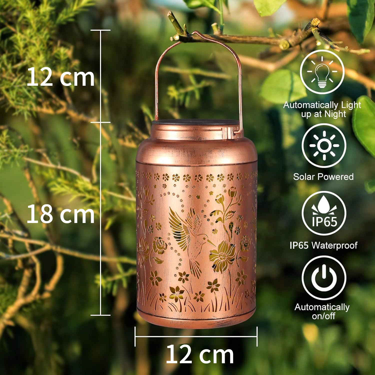 Solar Garden Lights_6