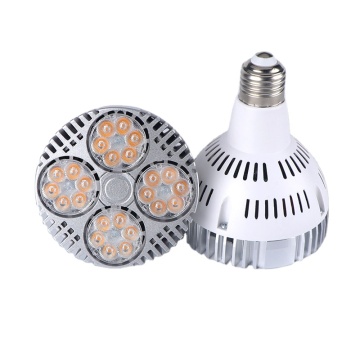 OEM LED Par30 Par38 with Fan E26 E27 30W 35W 40W Spotlight