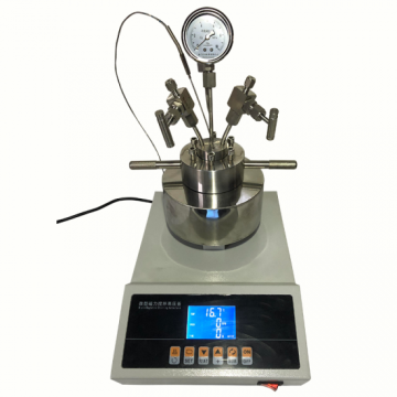 High Pressure Stainless Steel Magnetic Stirrer Reactor