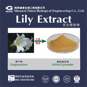 wild lily bulb/bai he extract