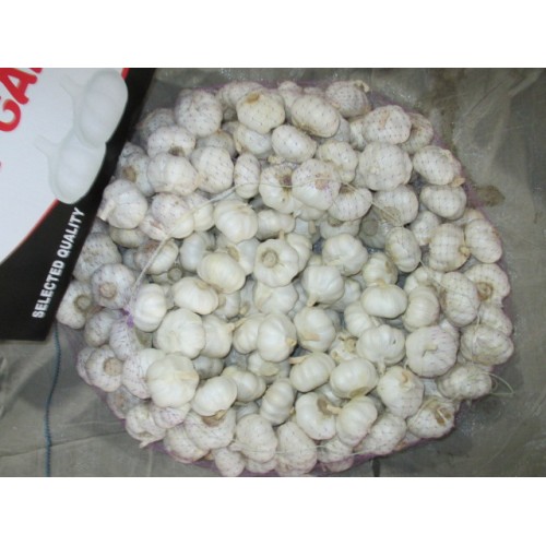 Good Quality Pure Garlic 2020