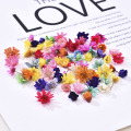 200PCS Dried Flower Head Daizy Glass Cover Nail Art Filling Epoxy Hand Craft DIY