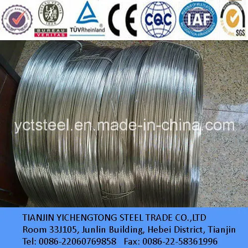 Stainless Steel Bright Wire with AAA Quality and Competitive Price