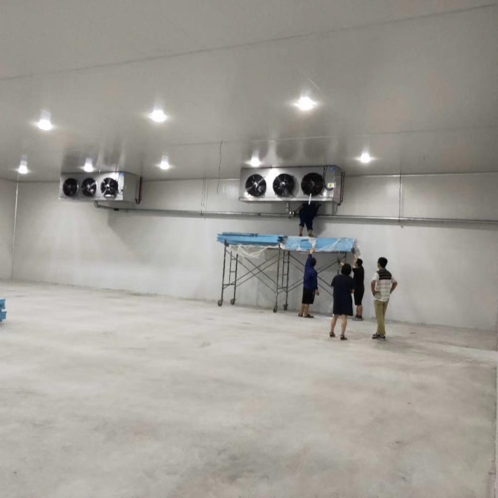 Sala de almacenamiento en frío para ahorrar energía