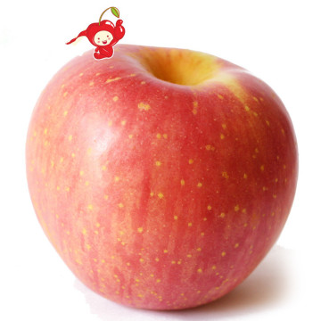 2014 New Crop Delicious FUJI Apples (Hot Sale)