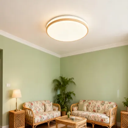 Modern Ceiling Lighting