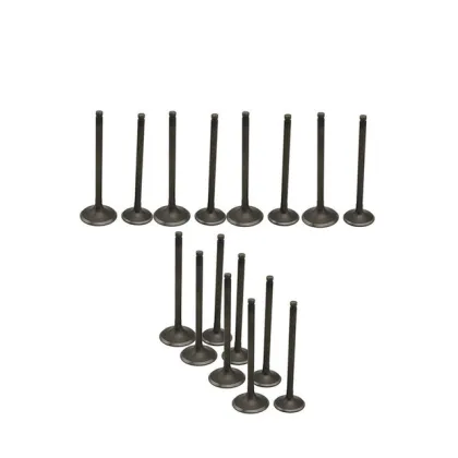 CA18 Car Engine Valve for Nissan