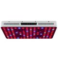 COB 2000w LED Grow Light Hydroponics